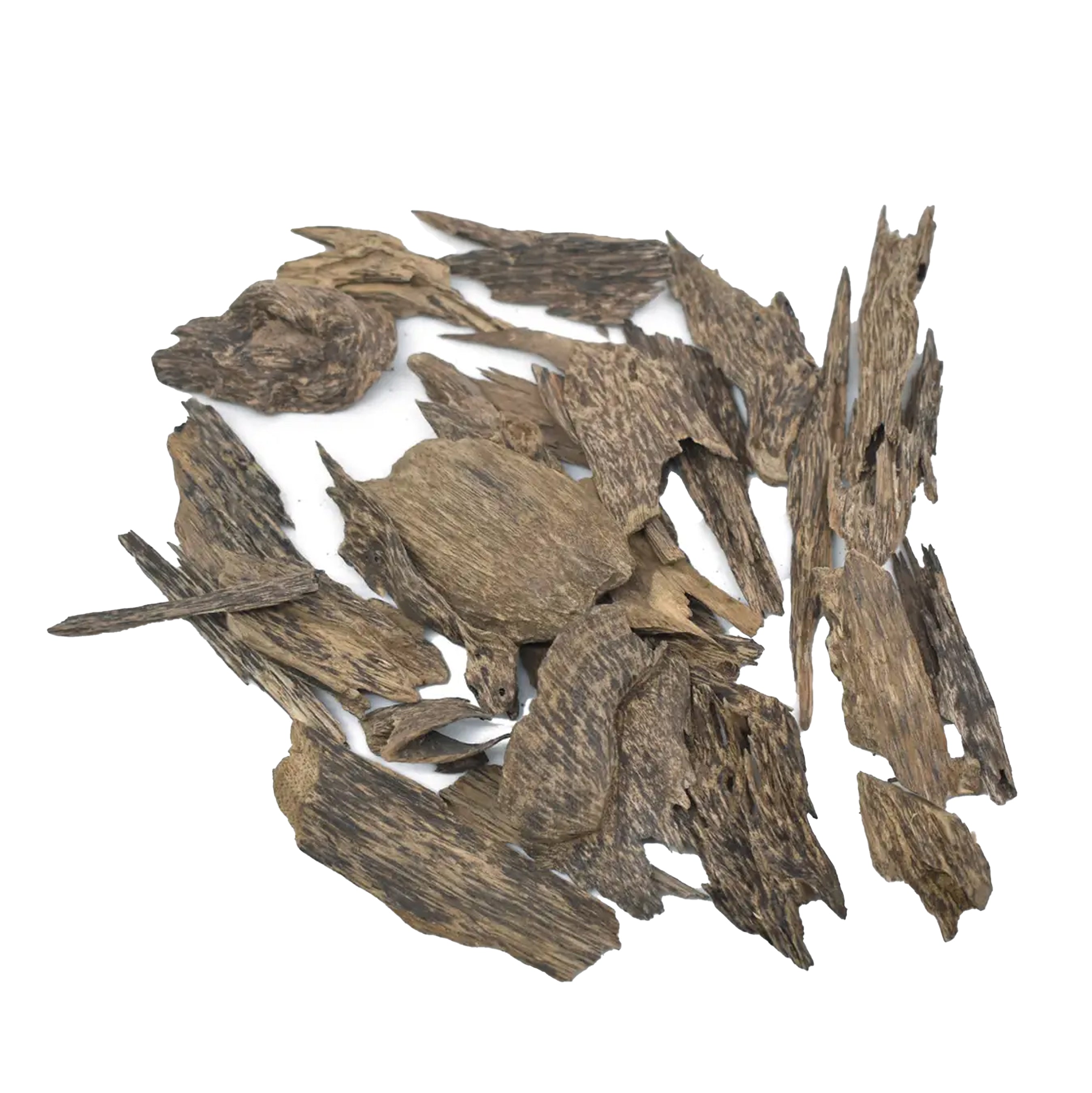 كلمنتان ميني و دقة سوبر مرتفع