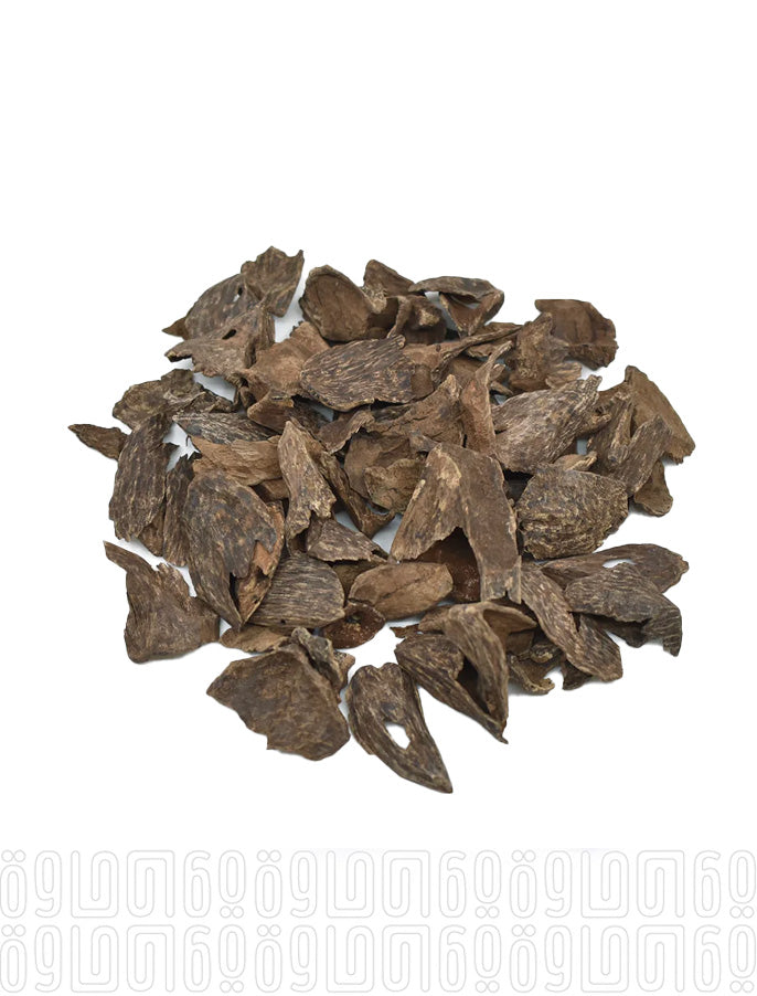 Ceylon Double Super Snails